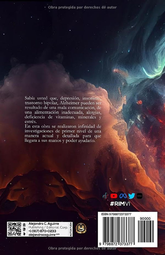 RE-INGENIERÍA MENTAL VI: Higienización mental (Spanish Edition)